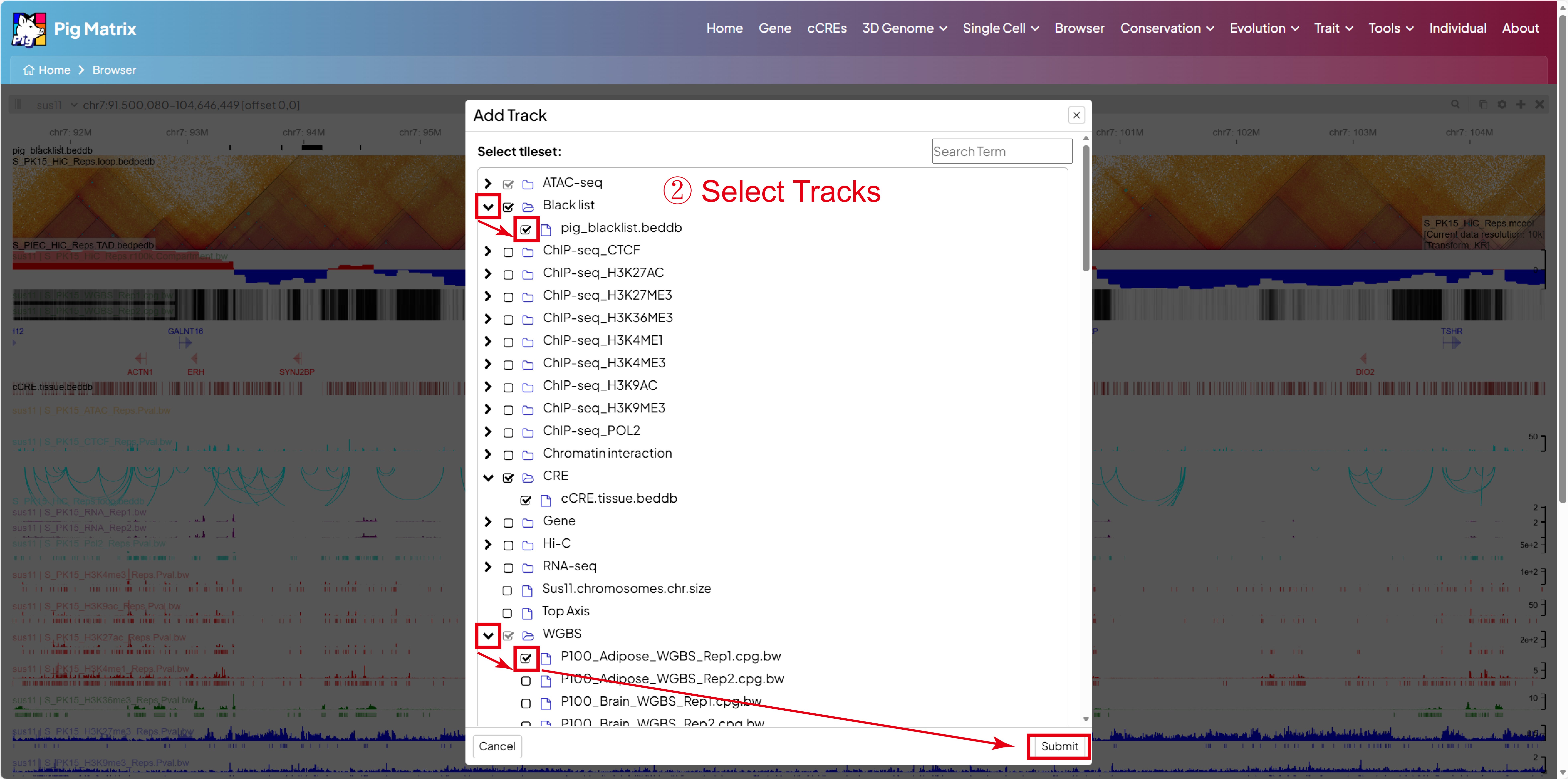 Select Tracks